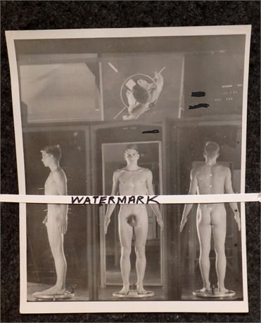 RARE 1953 OOAK VINTAGE NUDE MALE UNIVERSITY POSTURE EUGENICS RESEARCH PHOTO 3