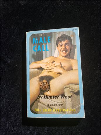 # 2 VINTAGE GAY NUDE MEN PHOTO ILLUSTRATIONS SEX NOVEL FICTION  BOOK - MALE CALL  BY HUNTER WEST