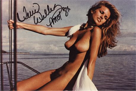 1981 Playmate of the Year Terri Welles Autographed SEXY 6.75 x10 Nude!