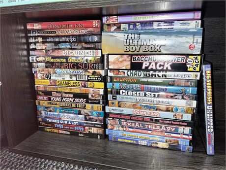 Gay DVD Lot of 36, Mixed Titles, Worth a Look!