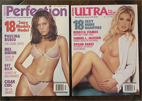 Perfection and Ultra magazines
