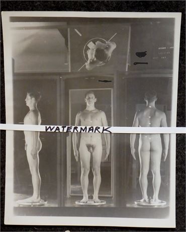 RARE 1953 OOAK VINTAGE NUDE MALE UNIVERSITY POSTURE EUGENICS RESEARCH PHOTO 6