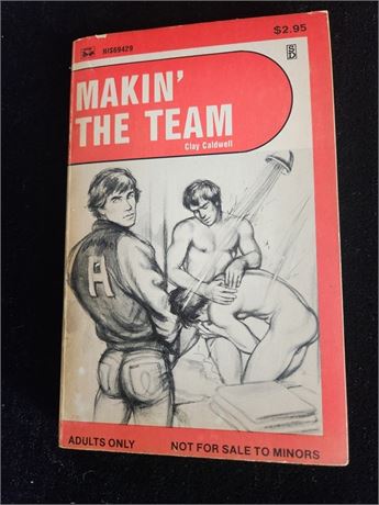 # 6 VINTAGE GAY MEN SEX NOVEL FICTION  BOOK - MAKIN' THE TEAM 1981 SURREE 69 HIS